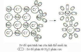 Sự hòa tan NaCl